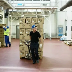 Грузчики на производство: как безопасно перемещать оборудование